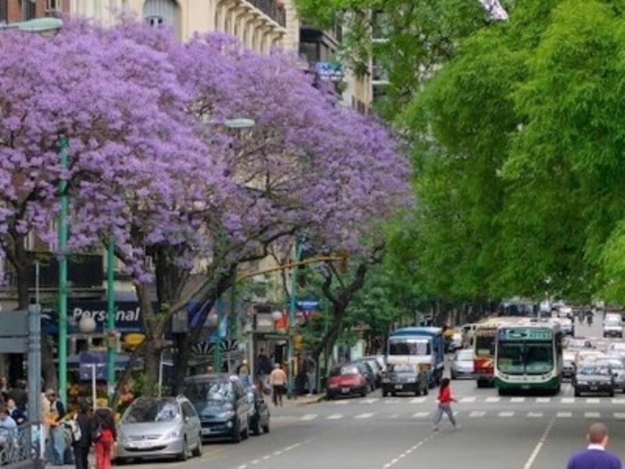Departamento En Barrio Norte Buenos Aires Exterior photo